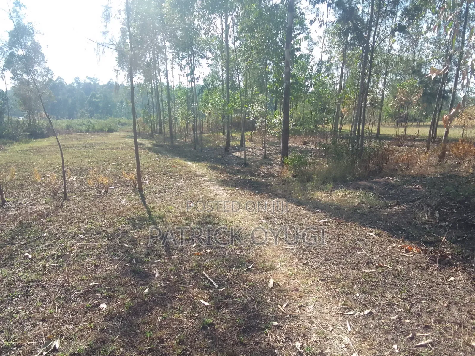 1/2 Cre for Sale at Kisumu Kadongo Near Holo Market in North Seme