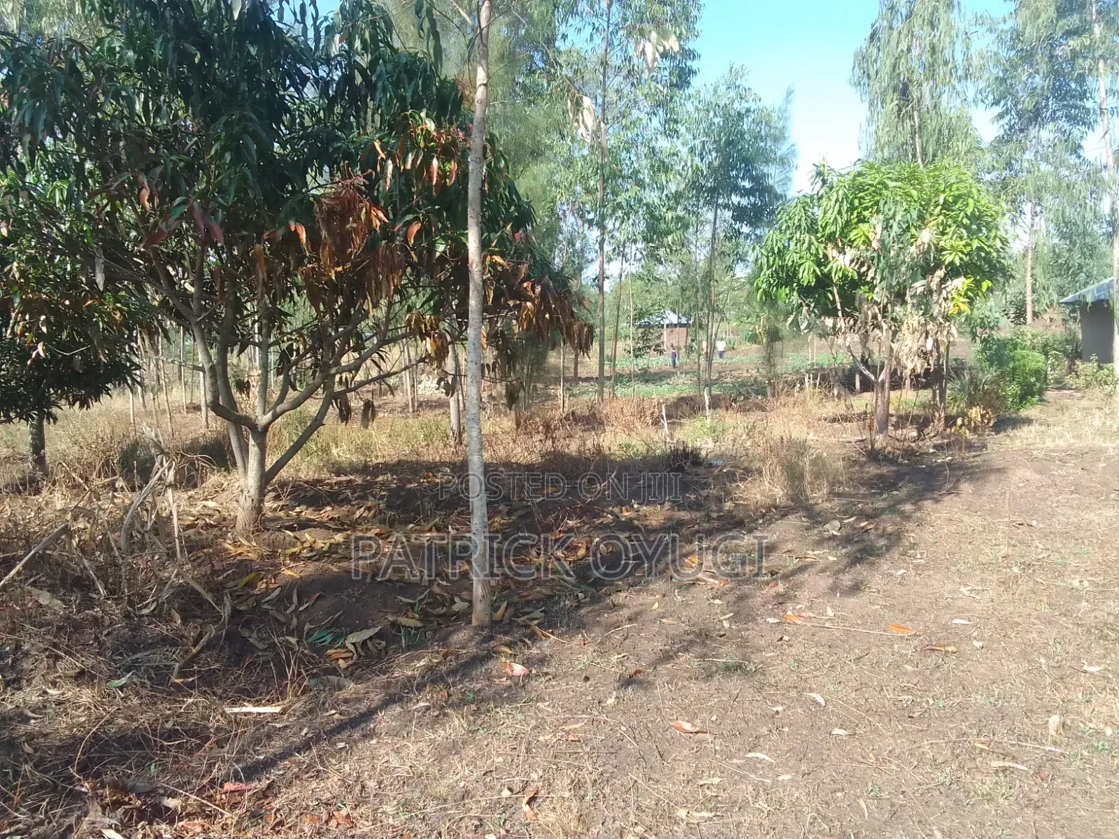 1/2 Cre for Sale at Kisumu Kadongo Near Holo Market in North Seme