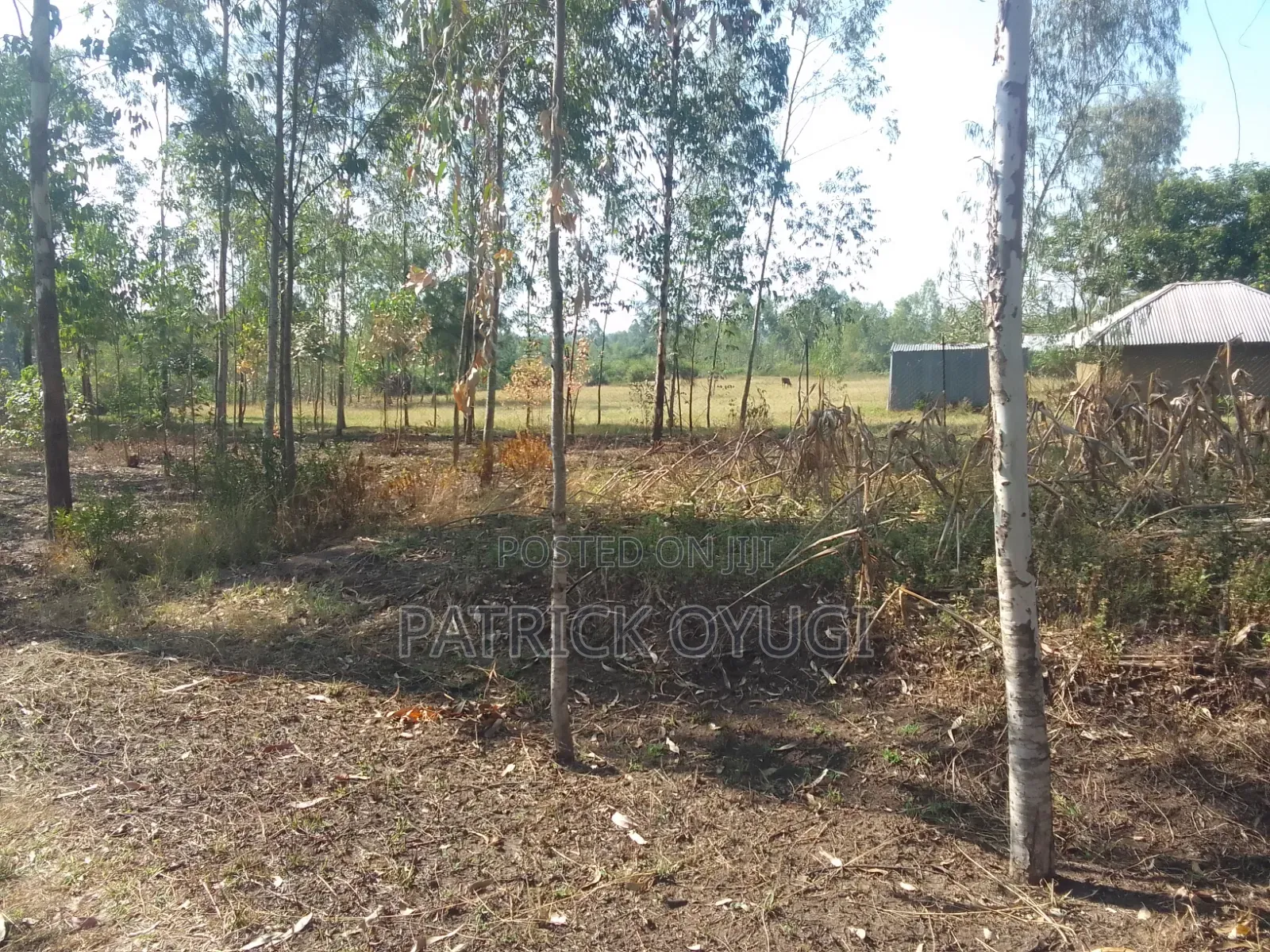 1/2 Cre for Sale at Kisumu Kadongo Near Holo Market in North Seme