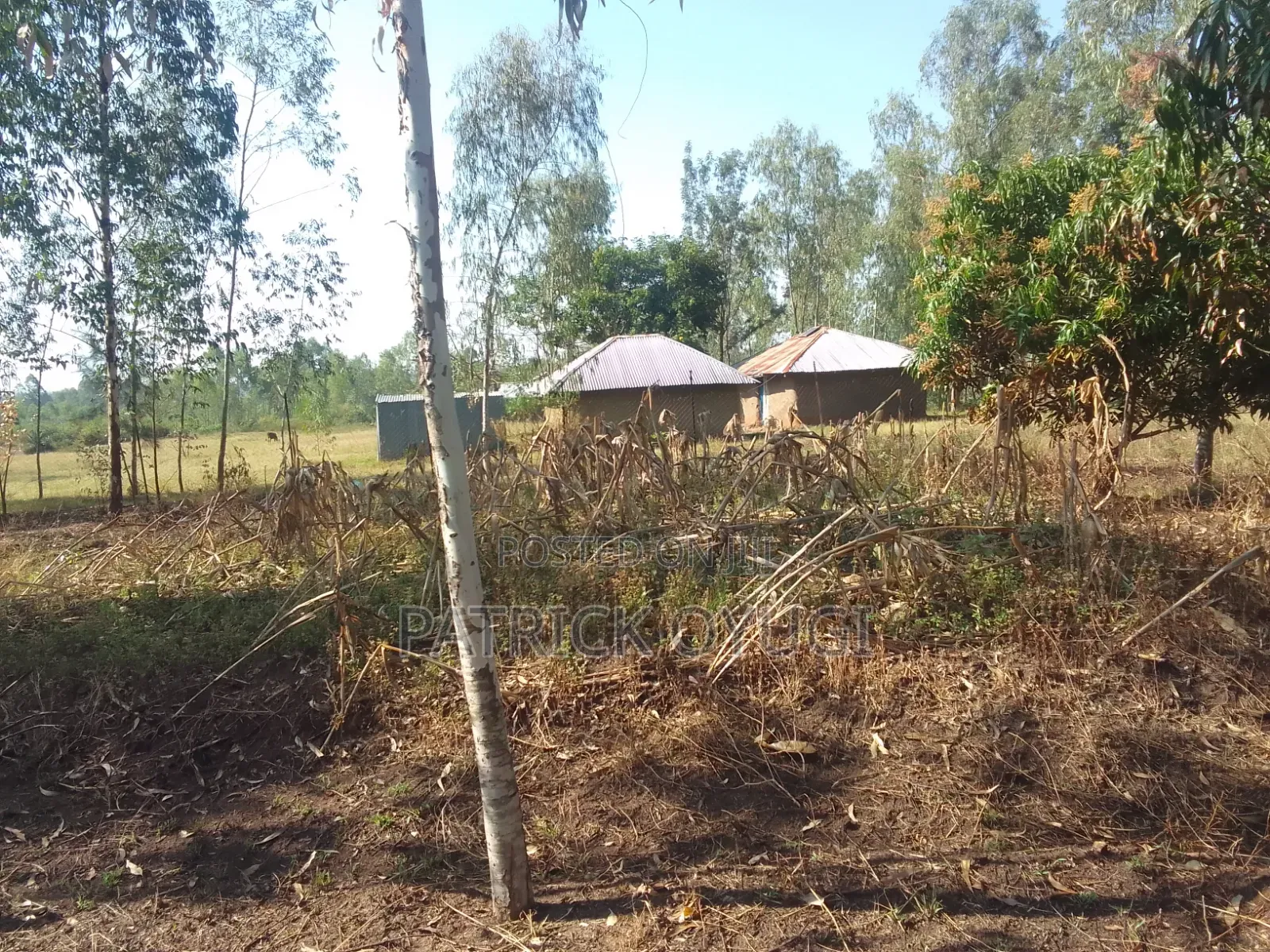1/2 Cre for Sale at Kisumu Kadongo Near Holo Market in North Seme