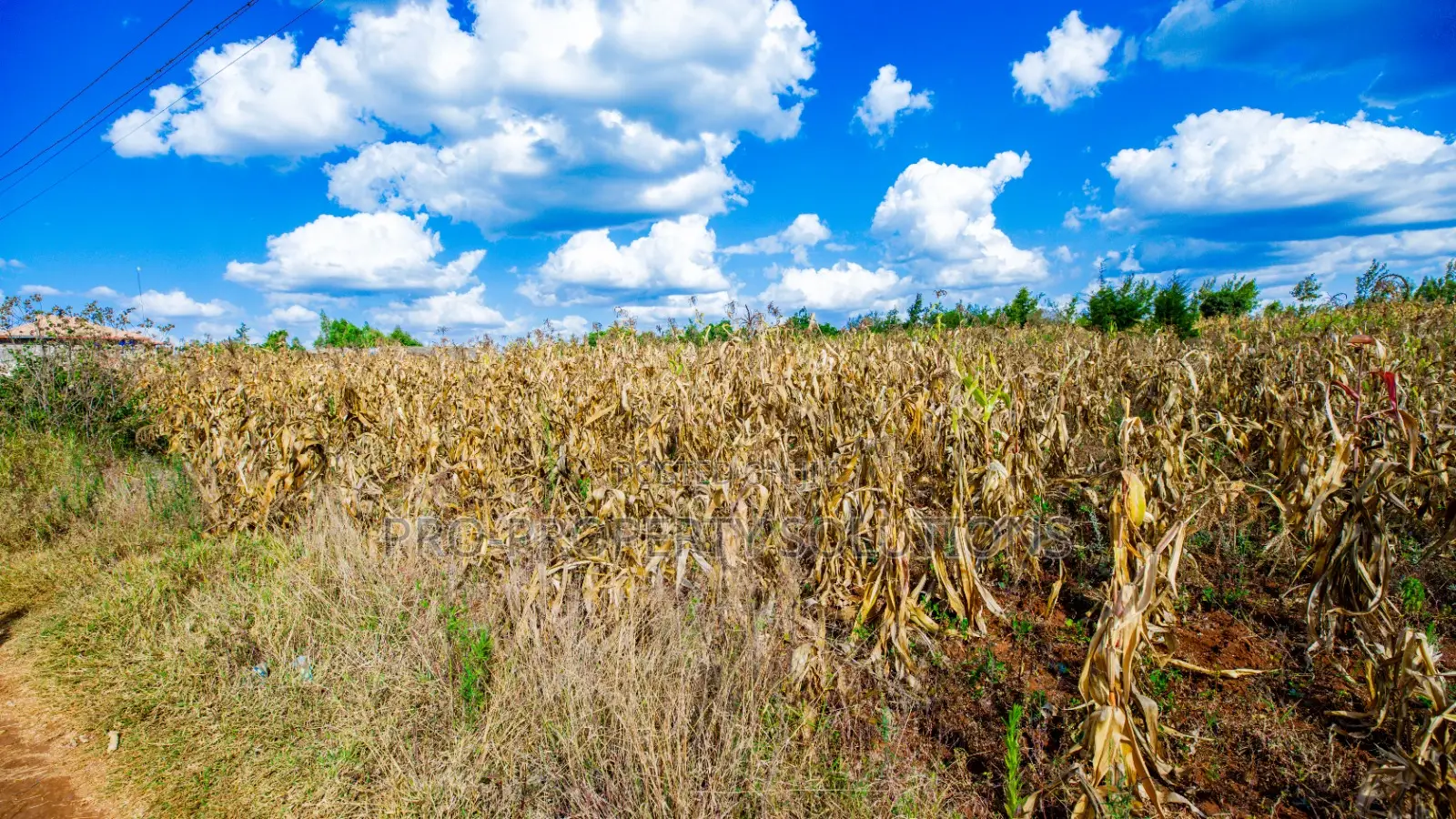 Prime Residential Plot for Sale in Kikuyu, Ng'amba in Kikuyu