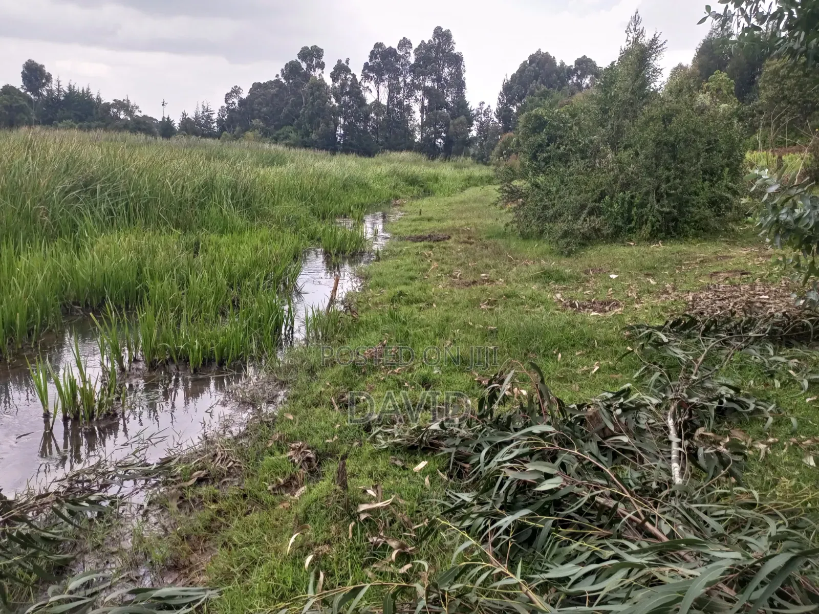 Land for Sale in Dundori in Dundori