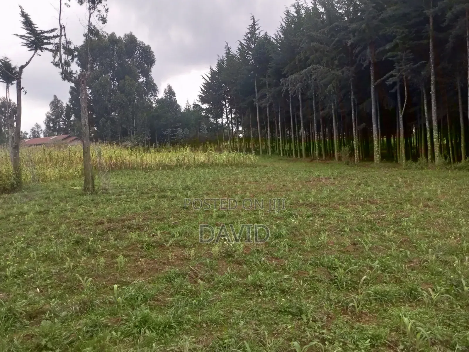 Land for Sale in Dundori in Dundori