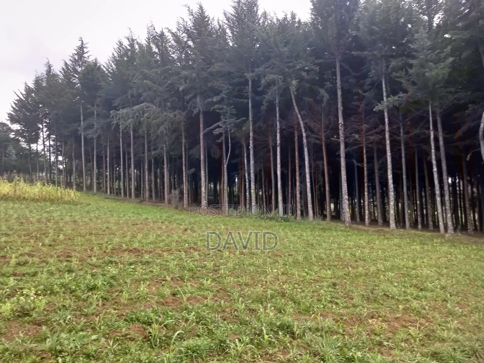 Land for Sale in Dundori in Dundori