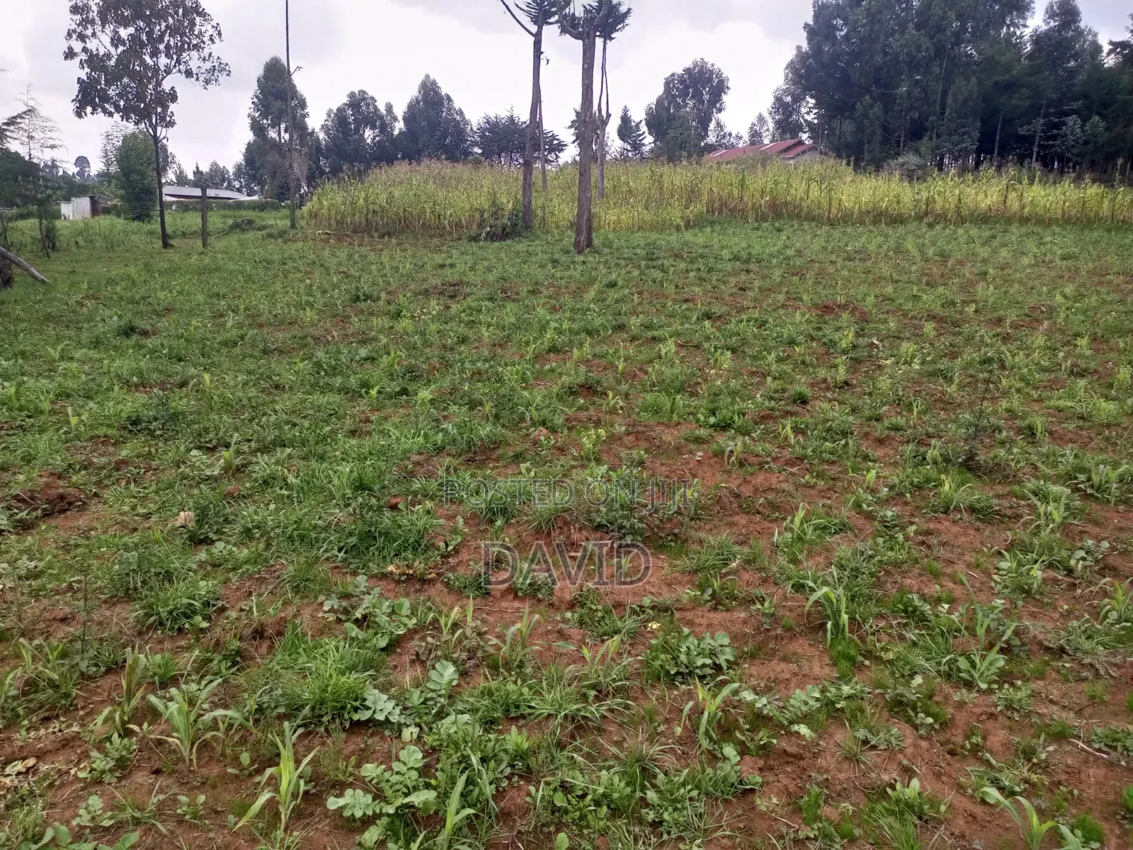 Land for Sale in Dundori in Dundori