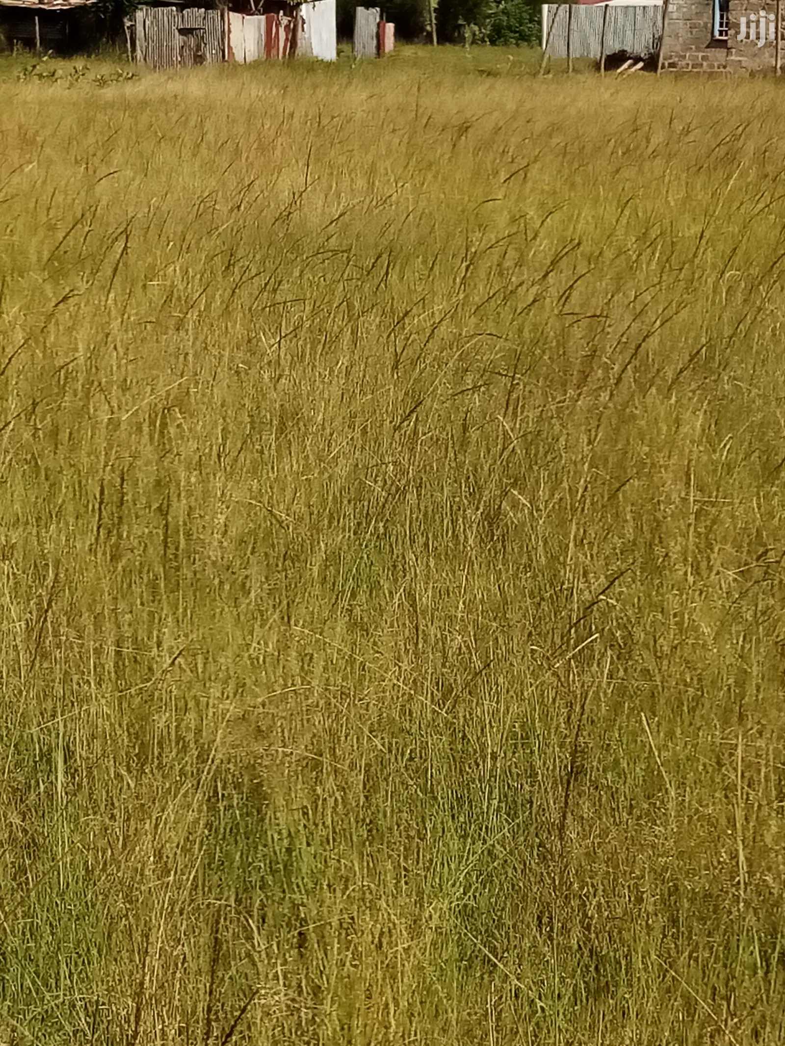 Mugutha Plot: A Perfect Investment Opportunity in Ruiru