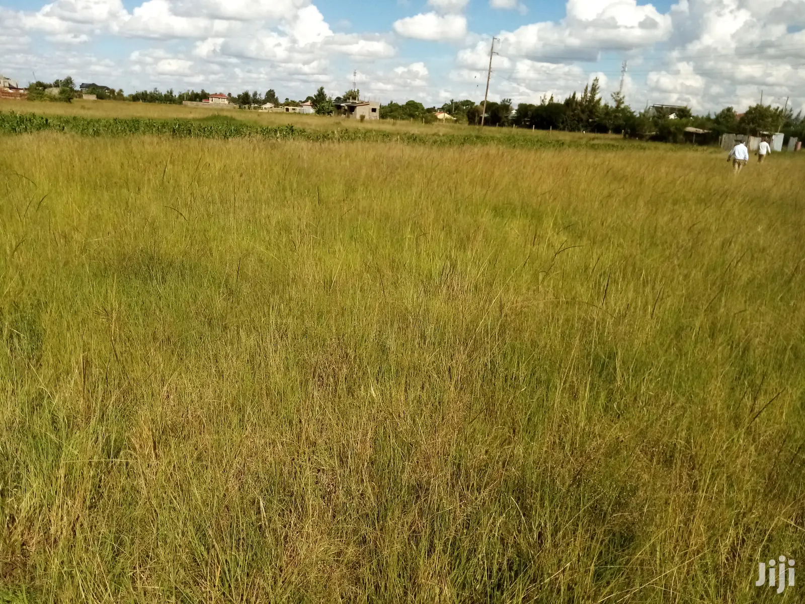Mugutha Plot: A Perfect Investment Opportunity in Ruiru