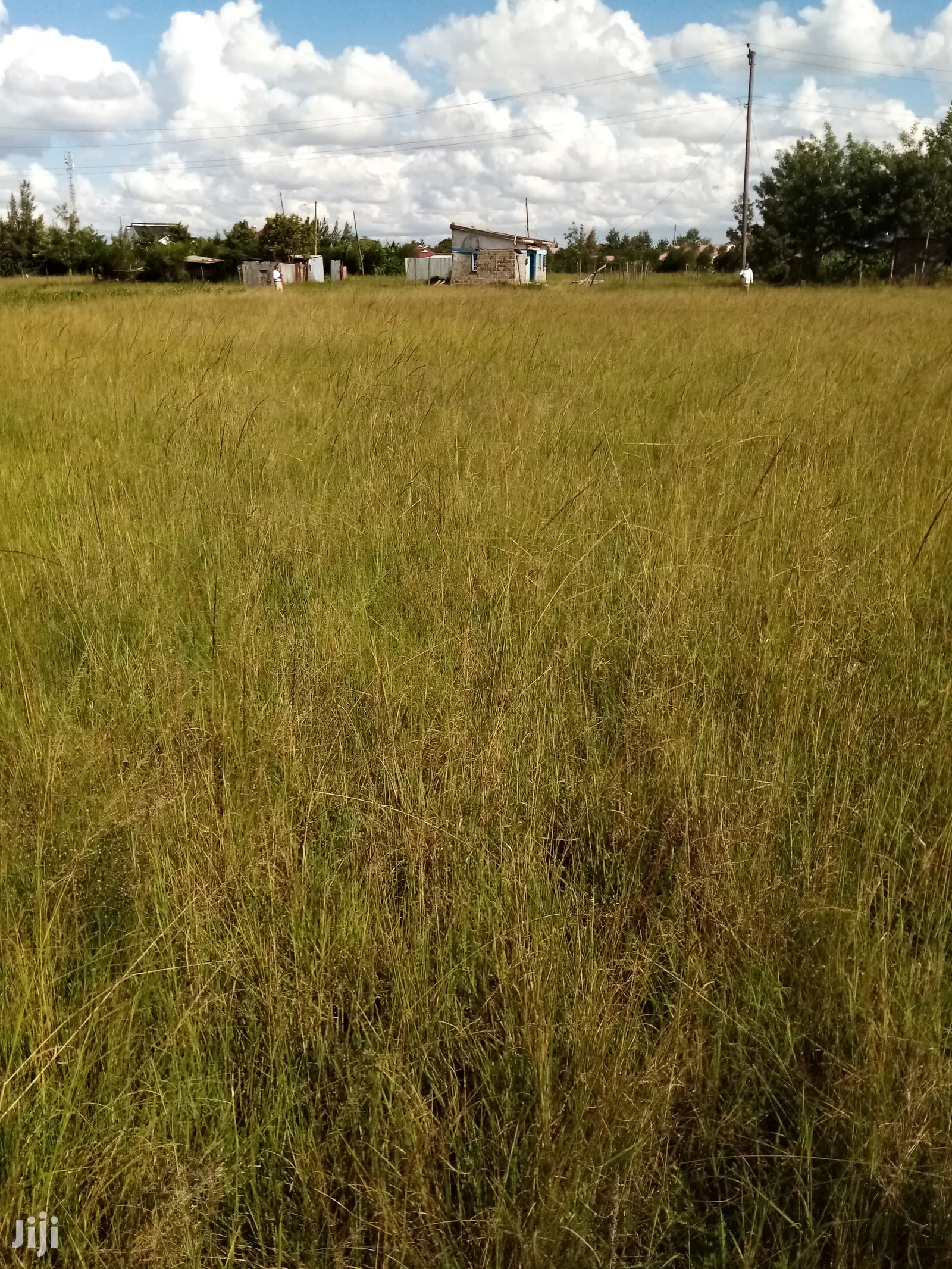 Mugutha Plot: A Perfect Investment Opportunity in Ruiru