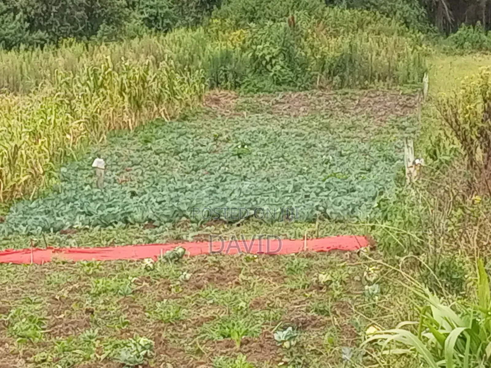 Land for Sale in Dundori Nakuru in Dundori