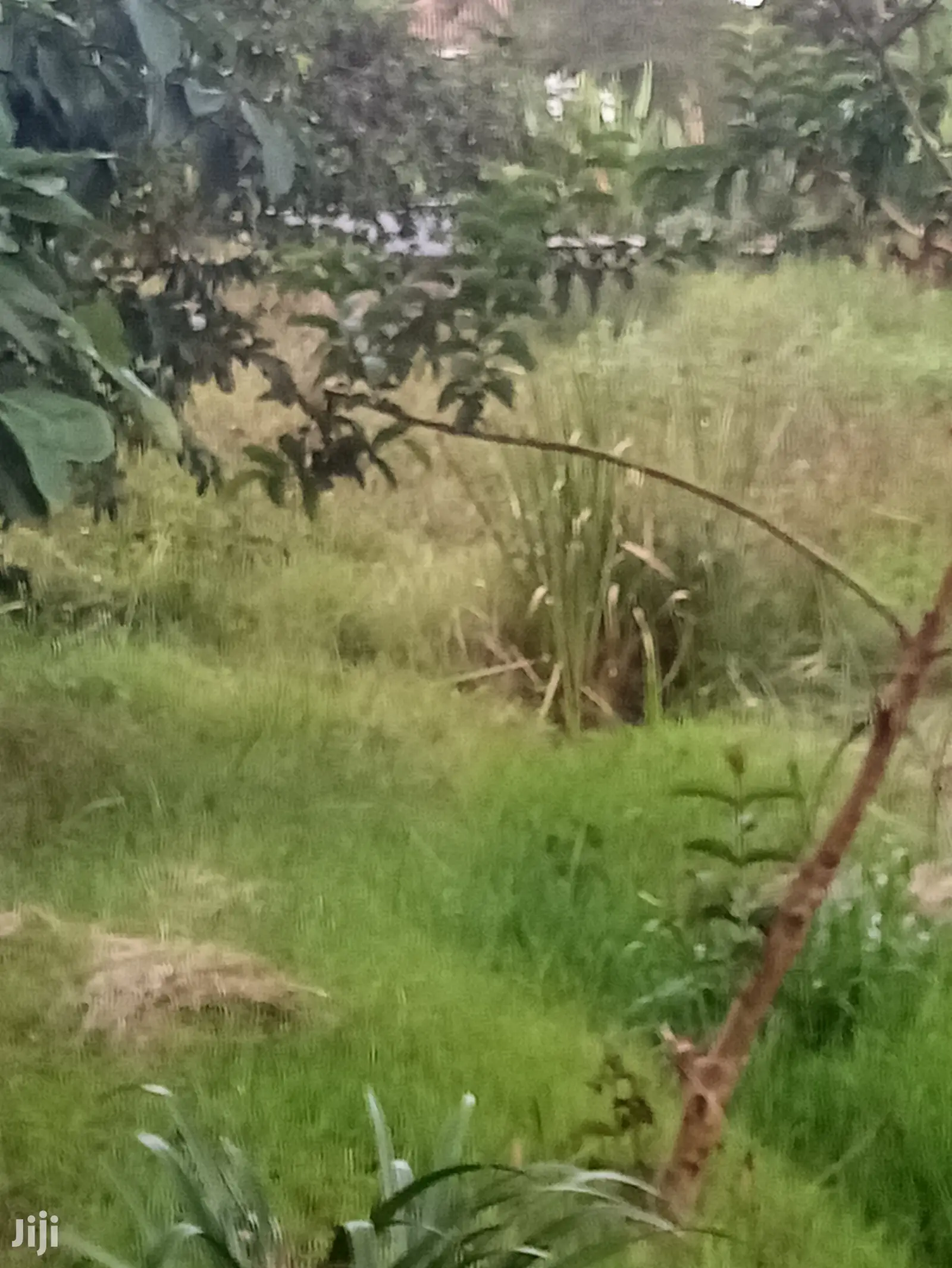 Prime Land for Sale Along Garden Estate Road in Kiambu CBD