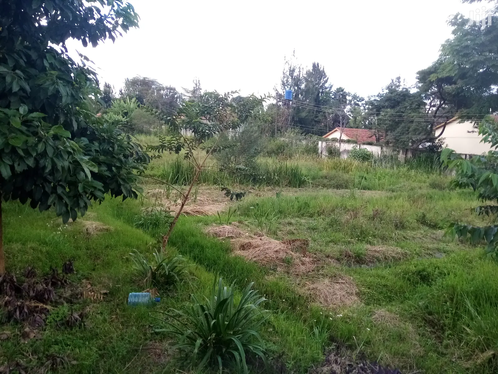 Prime Land for Sale Along Garden Estate Road in Kiambu CBD