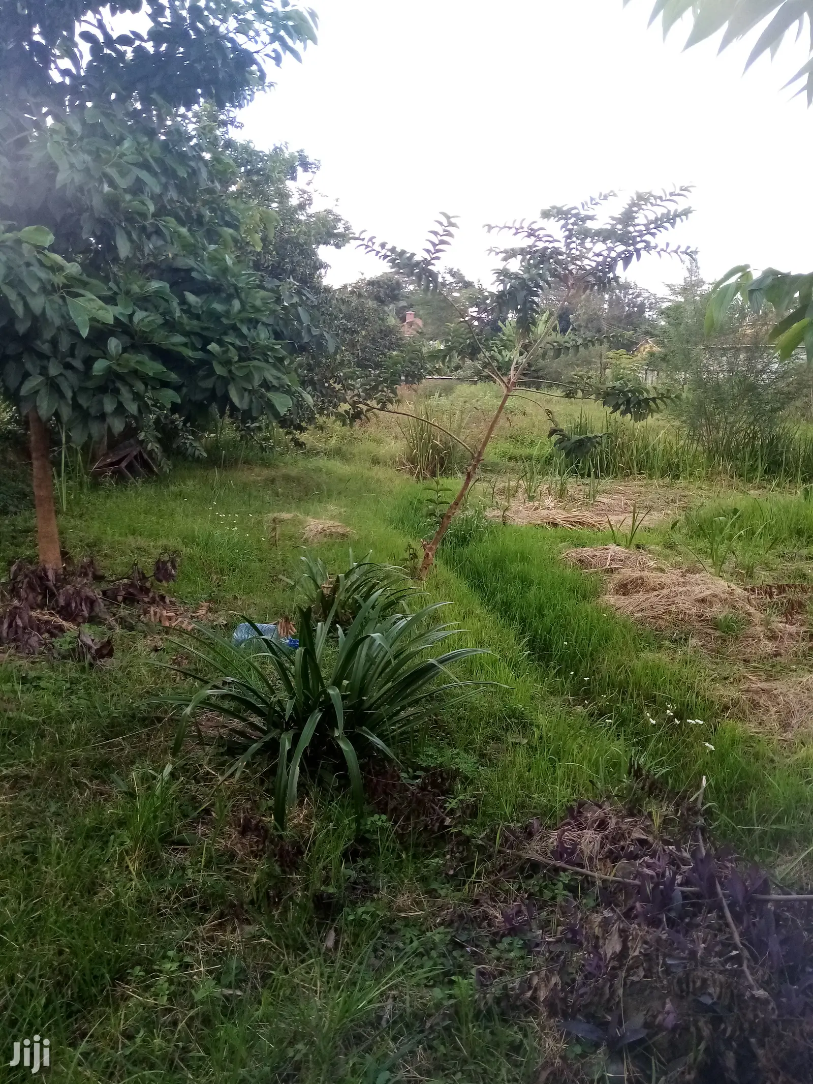 Prime Land for Sale Along Garden Estate Road in Kiambu CBD