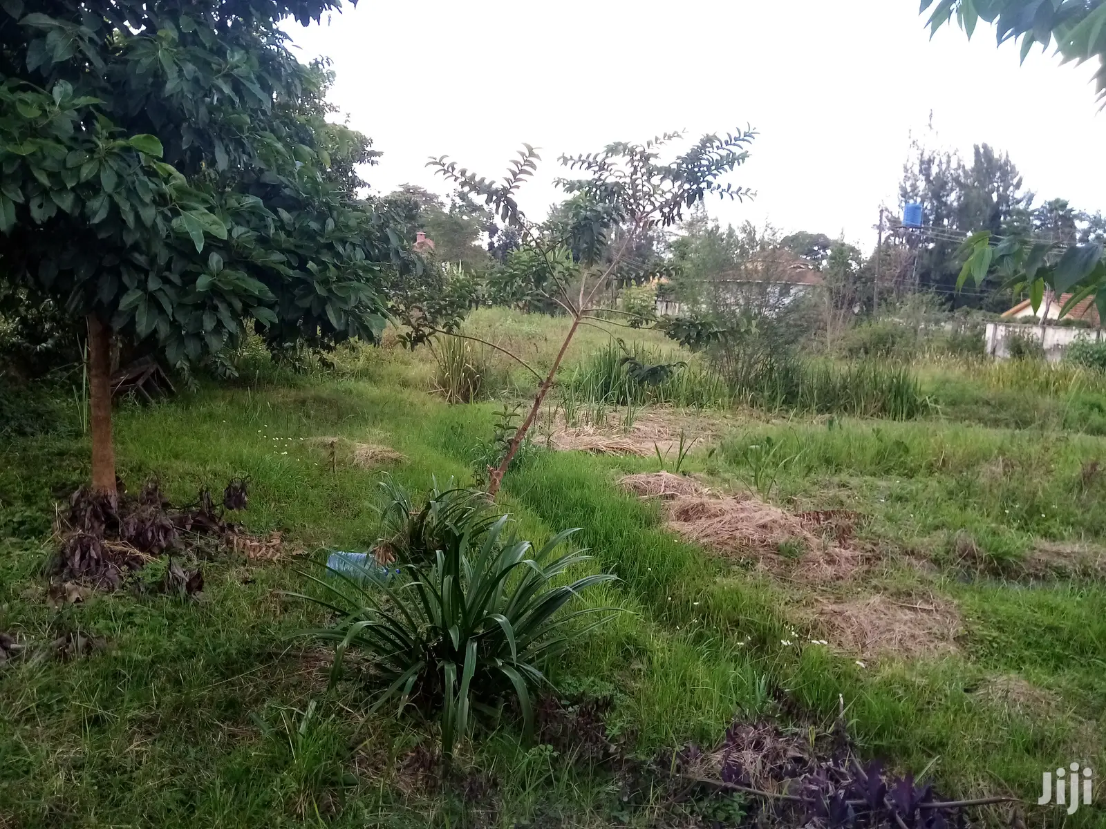 Prime Land for Sale Along Garden Estate Road in Kiambu CBD