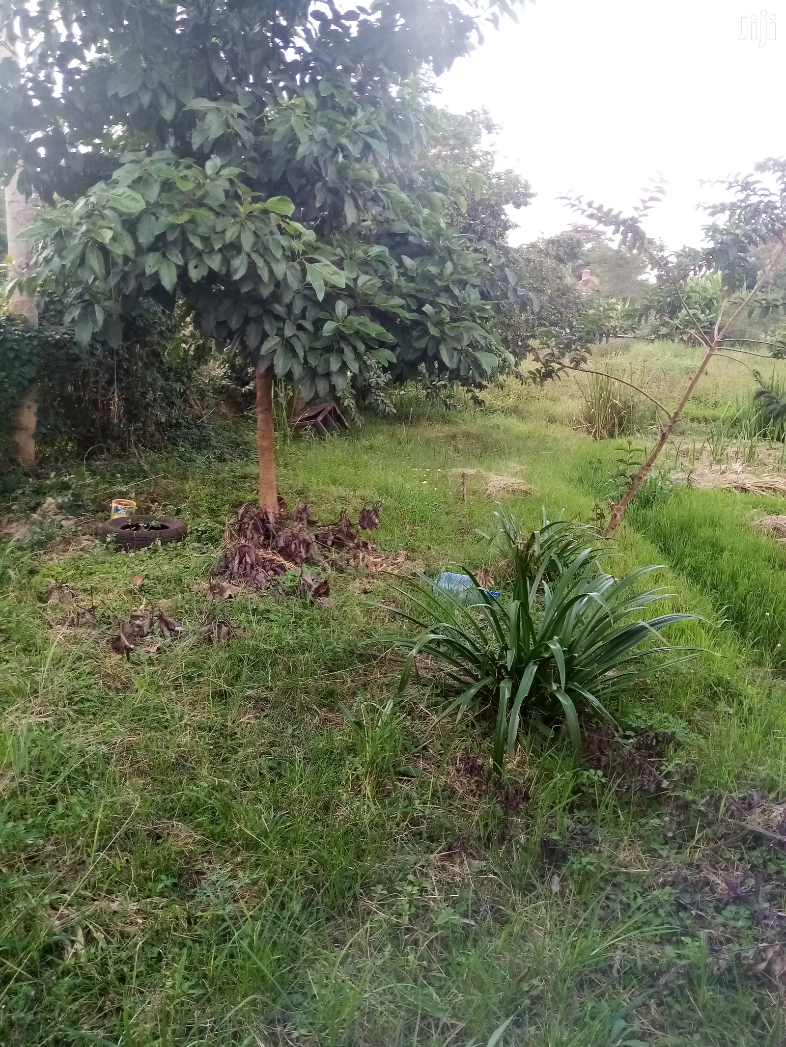 Prime Land for Sale Along Garden Estate Road in Kiambu CBD
