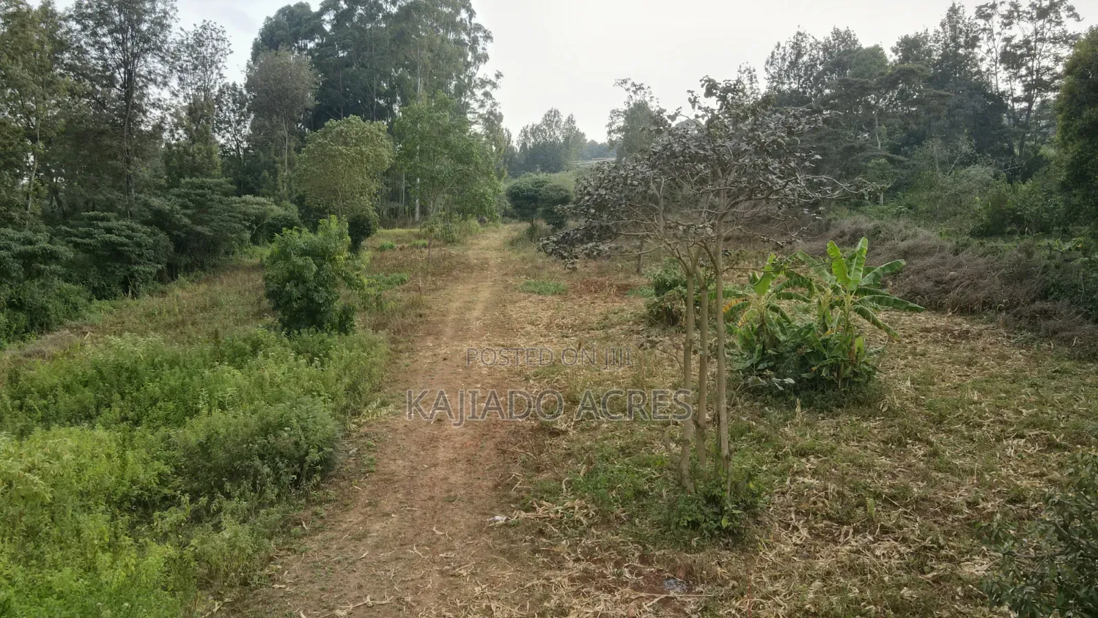 1/8 Acres Nhonh,maasai Road at 3m in Matasia