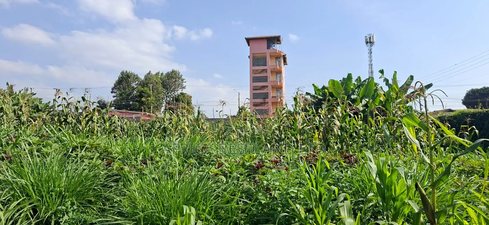 π‘ Prime 100Γ100 Plot for Sale β Lower Kabete in Wangige