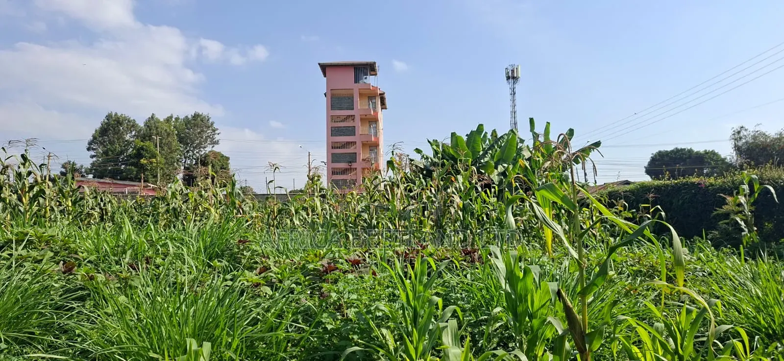 π‘ Prime 100Γ100 Plot for Sale β Lower Kabete in Wangige