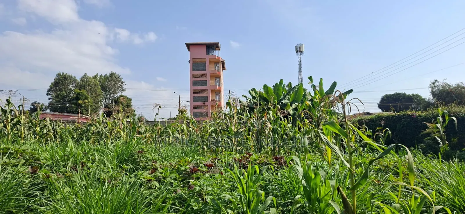 π‘ Prime 100Γ100 Plot for Sale β Lower Kabete in Wangige