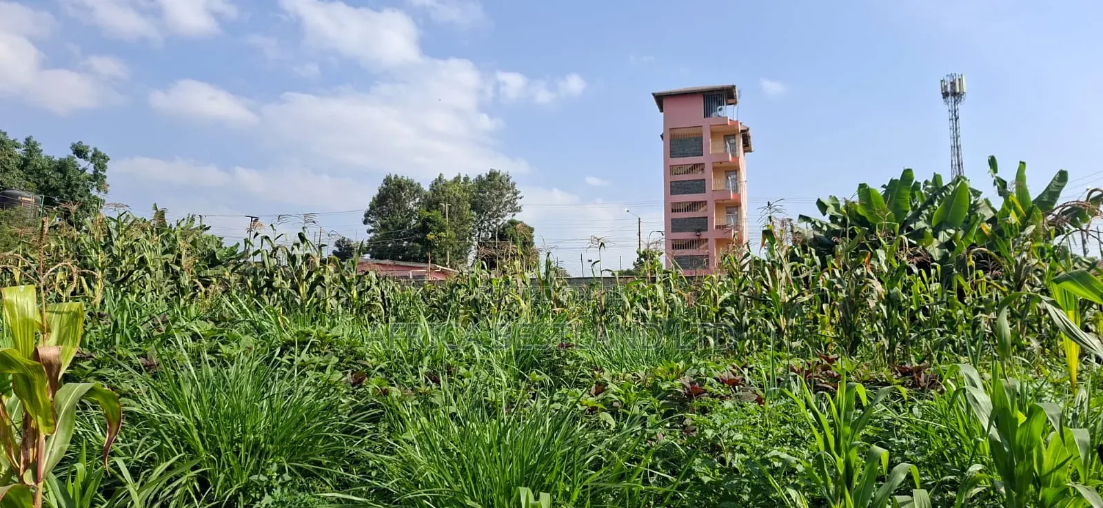 π‘ Prime 100Γ100 Plot for Sale β Lower Kabete in Wangige