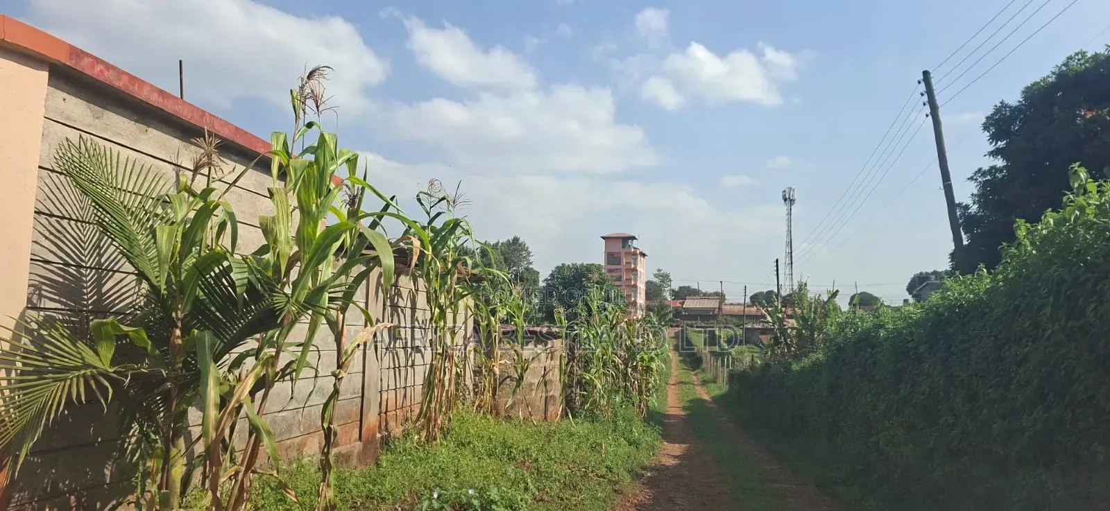 π‘ Prime 100Γ100 Plot for Sale β Lower Kabete in Wangige