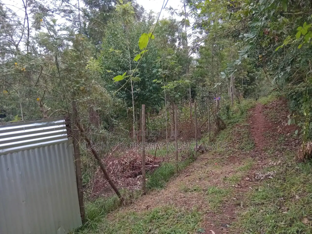 3⁄4 Acre Property With 2-Bedroom House – Githima, Murang'A in Kigumo