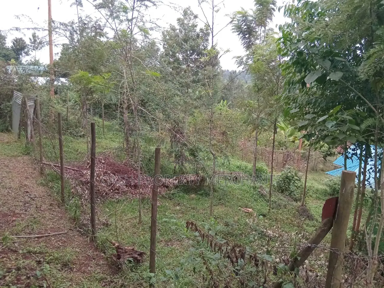 3⁄4 Acre Property With 2-Bedroom House – Githima, Murang'A in Kigumo