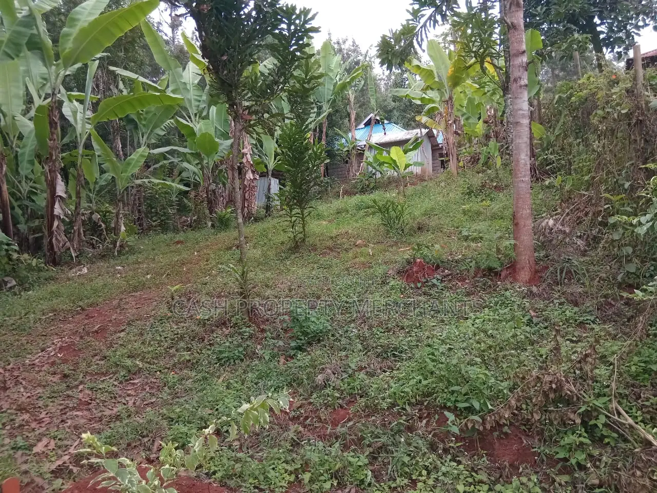 3⁄4 Acre Property With 2-Bedroom House – Githima, Murang'A in Kigumo