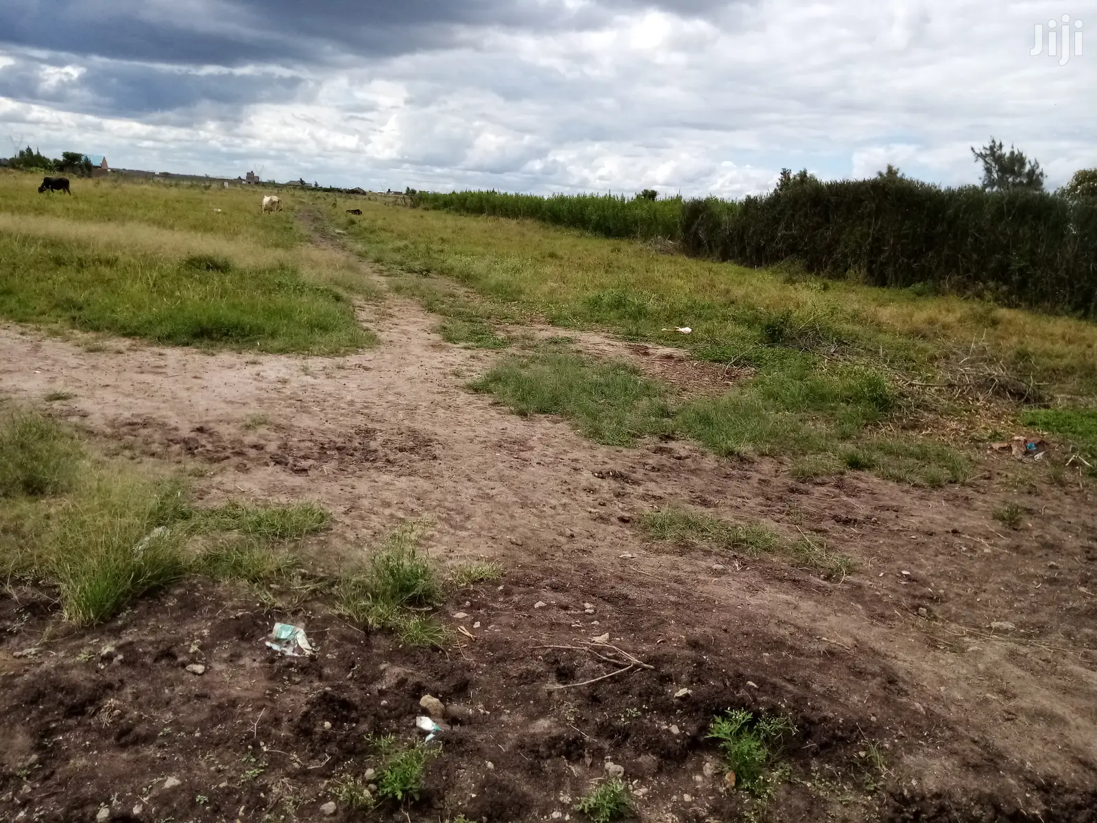 Joska Land for Sale: Prime Property at 300m Distance from Main Road in Kangundo West