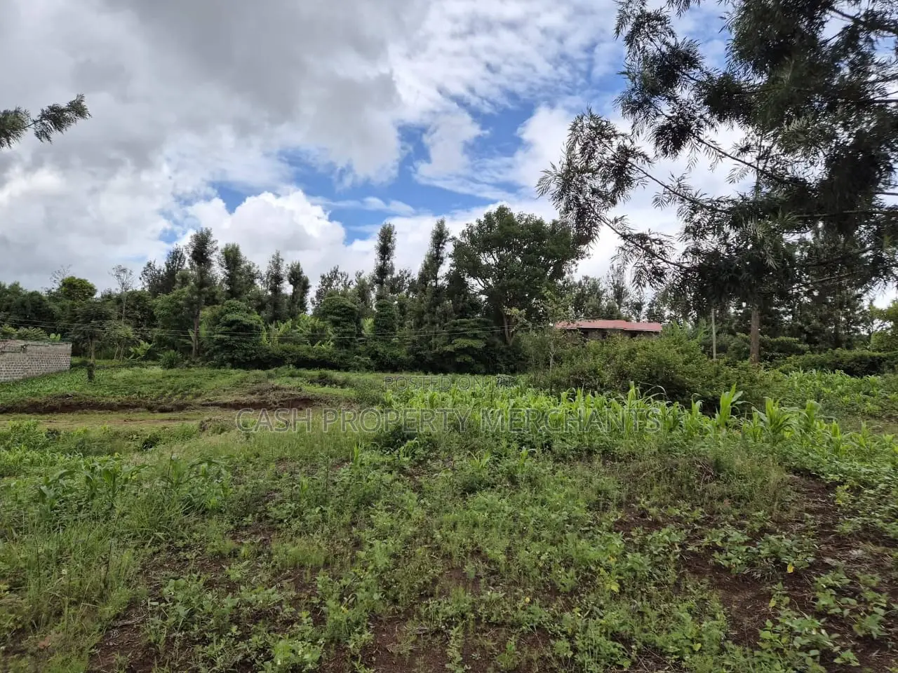 Prime 1⁄8 Acre Residential Plot – Juja-Gachororo in Gachororo