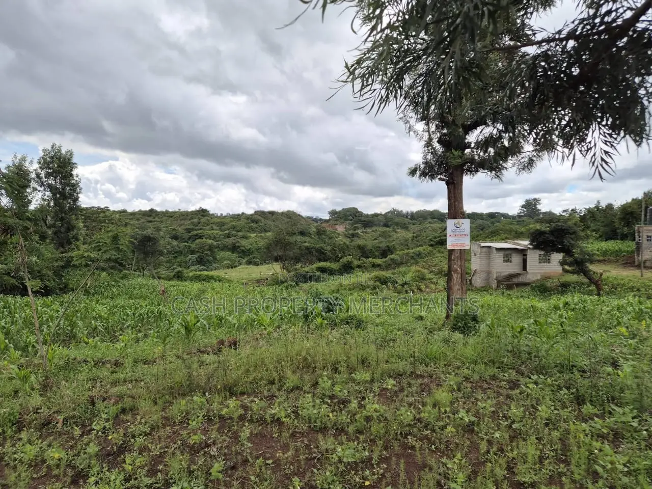 Prime 1⁄8 Acre Residential Plot – Juja-Gachororo in Gachororo