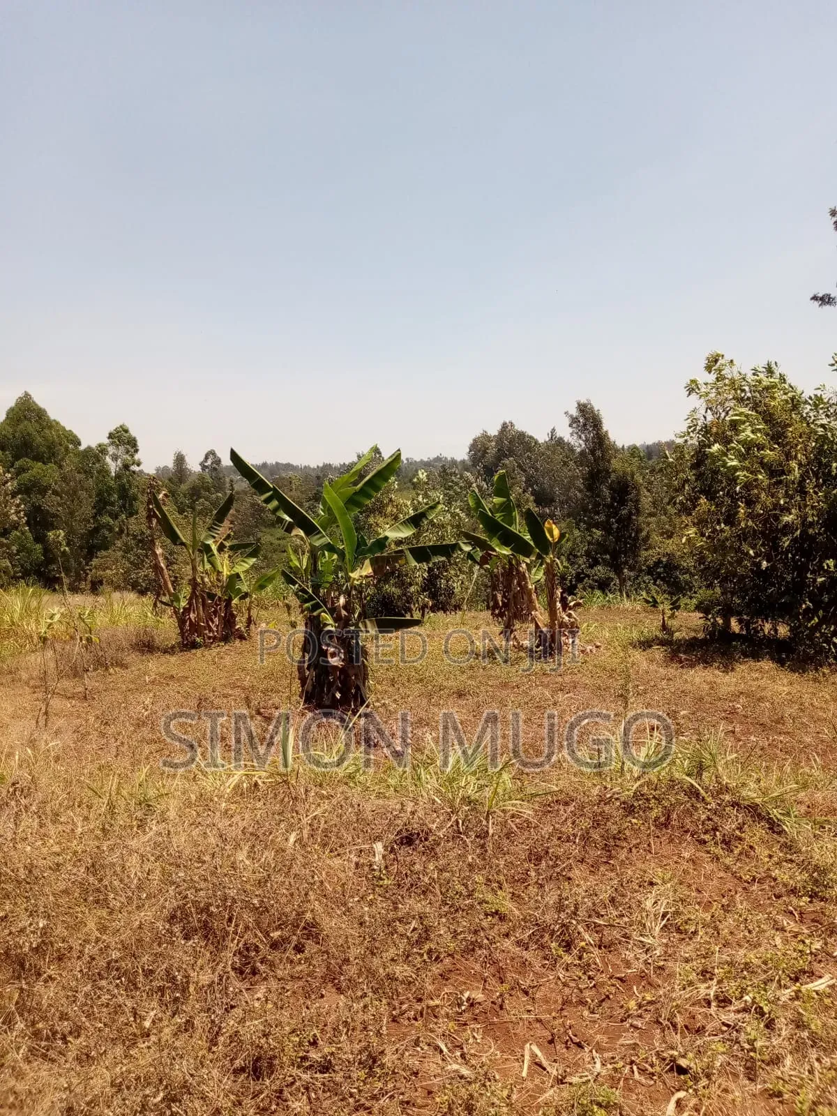 Kirwara Gatanga Prime 4.3 Acres @ 5 Millions Per Acre in Gatanga
