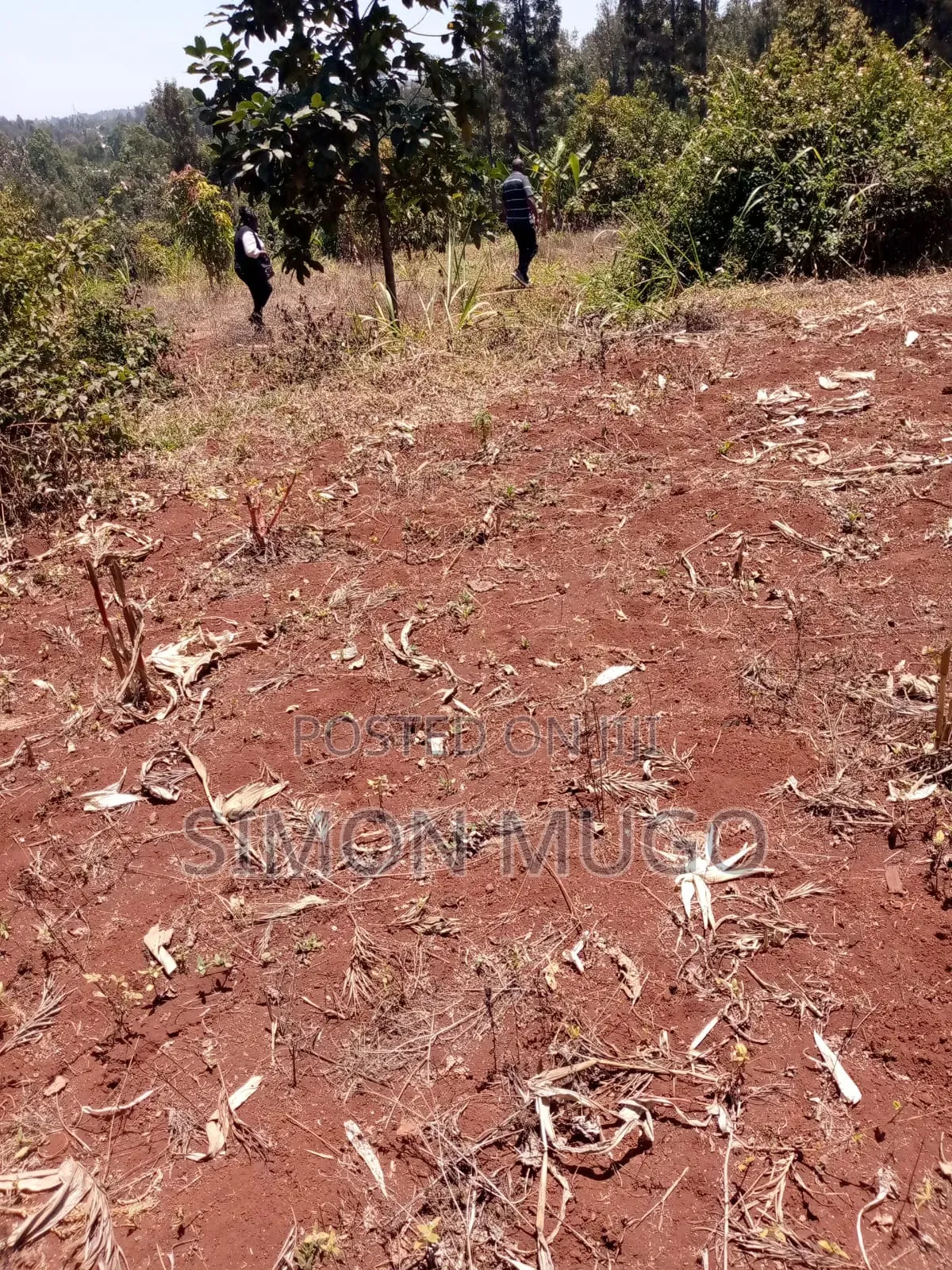 Kirwara Gatanga Prime 4.3 Acres @ 5 Millions Per Acre in Gatanga
