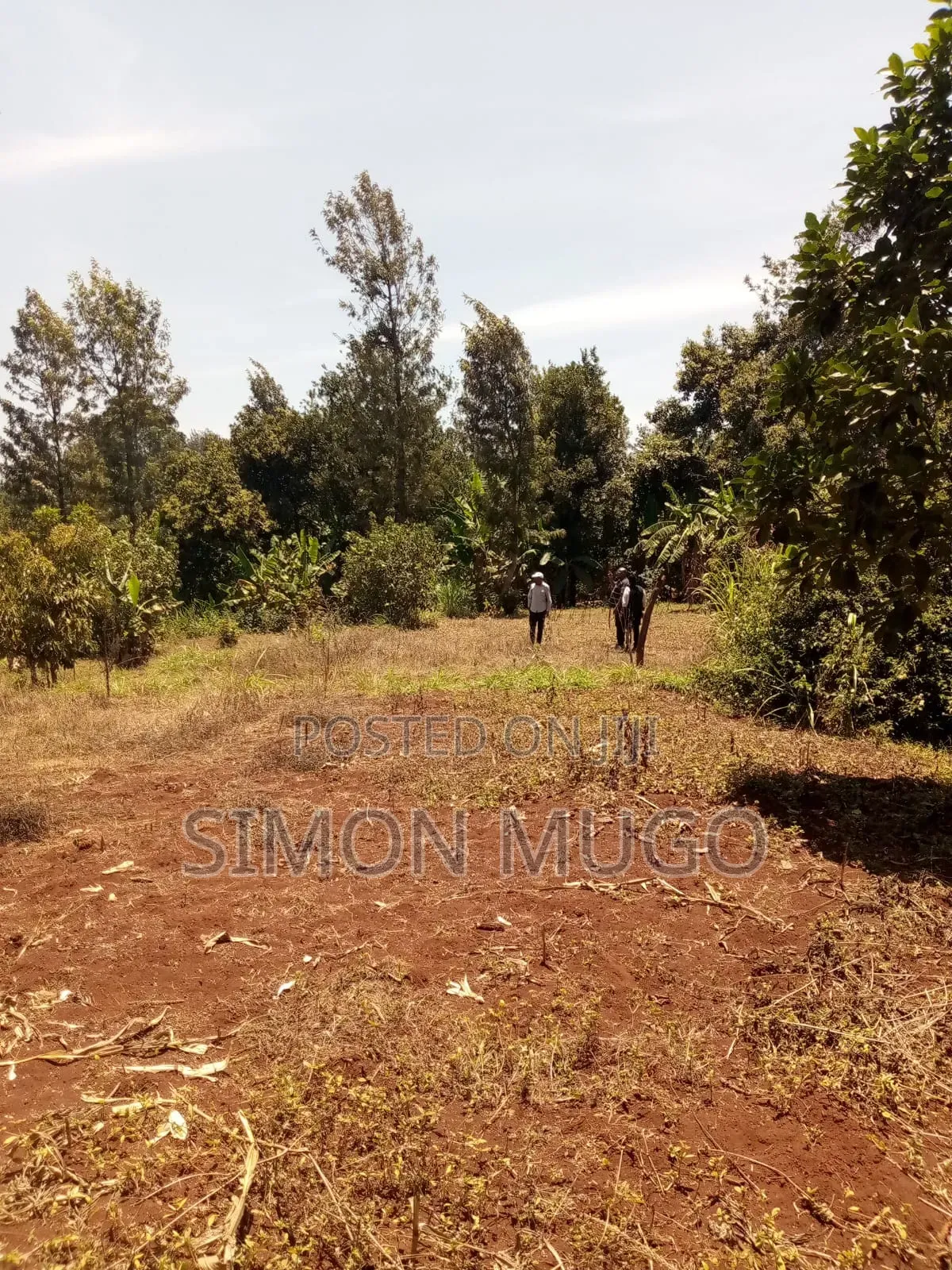 Kirwara Gatanga Prime 4.3 Acres @ 5 Millions Per Acre in Gatanga