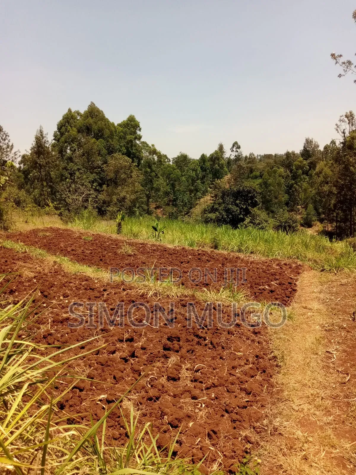 Kirwara Gatanga Prime 4.3 Acres @ 5 Millions Per Acre in Gatanga