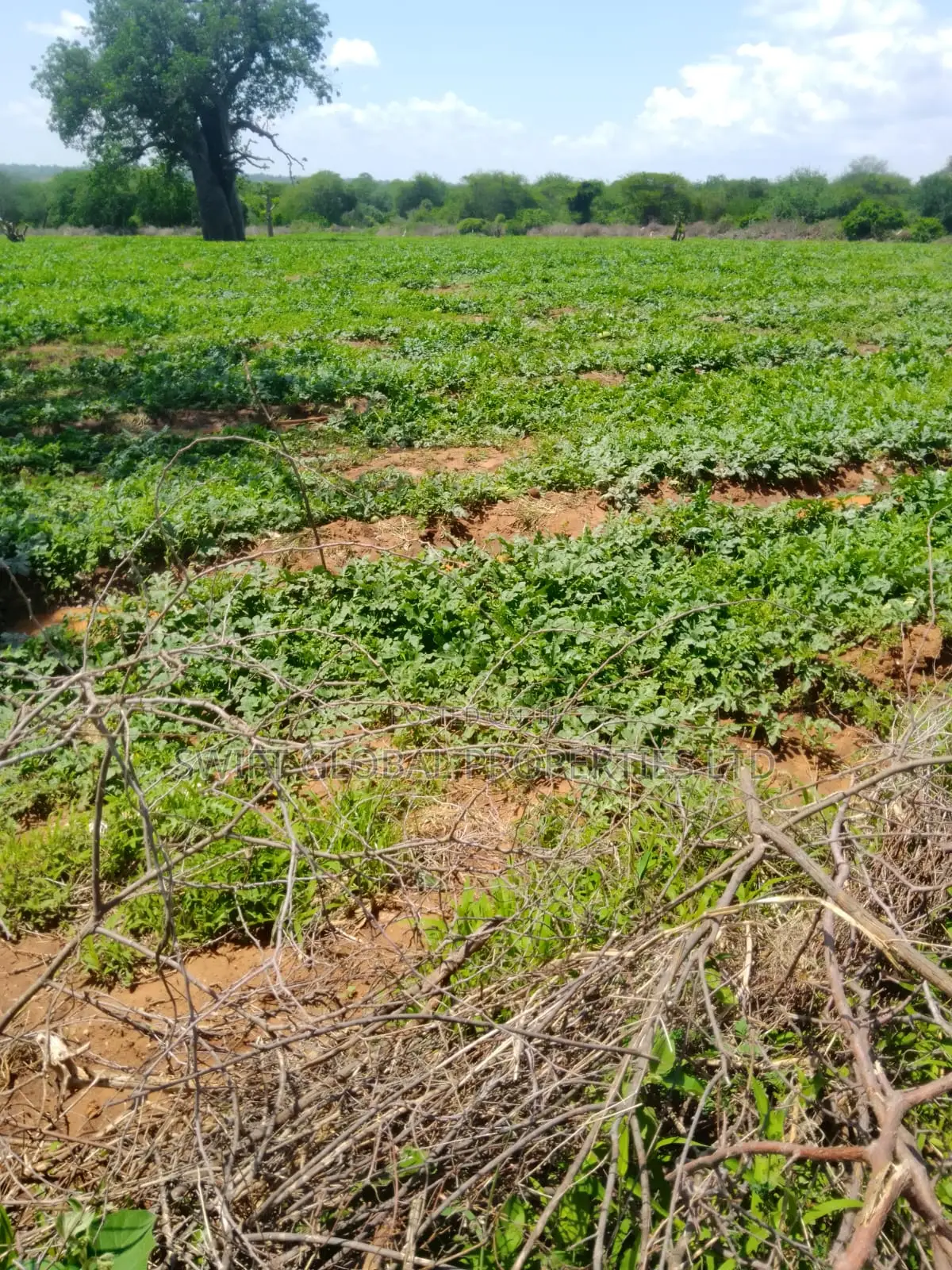 240 Acres With Water Is Available on Quick Sale in Makueni Emali in Emali/Mulala