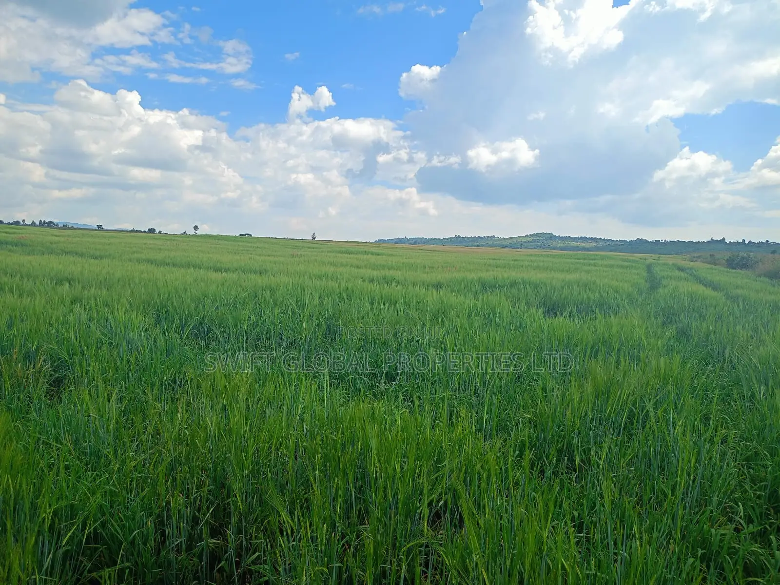 100 Acres Agricultural Land in Laikipia County Is Available for Sale in Sipili