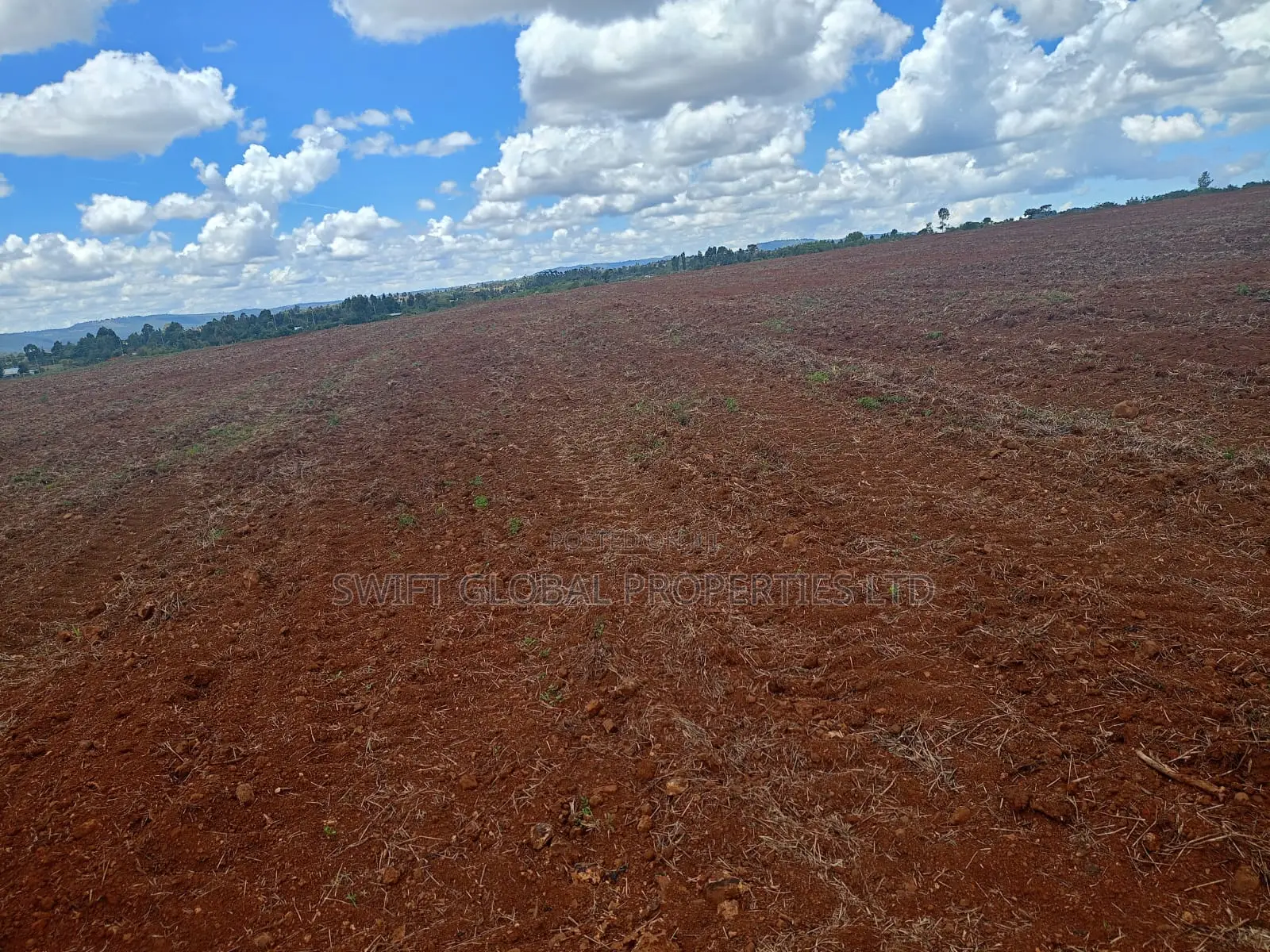 100 Acres Agricultural Land in Laikipia County Is Available for Sale in Sipili