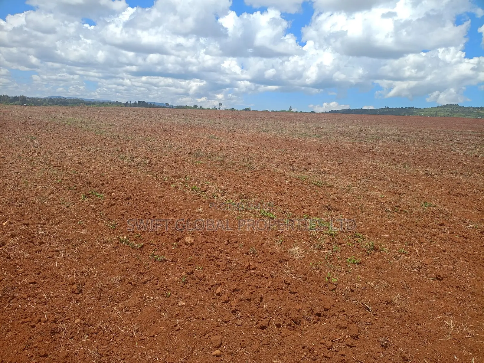 100 Acres Agricultural Land in Laikipia County Is Available for Sale in Sipili