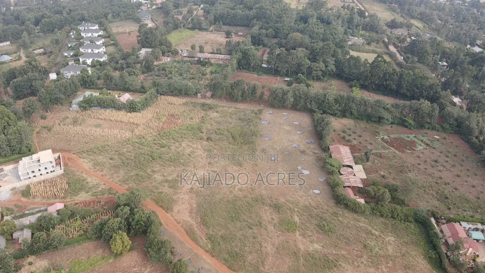 1 Acre Kibiku at 20m in Kibiku