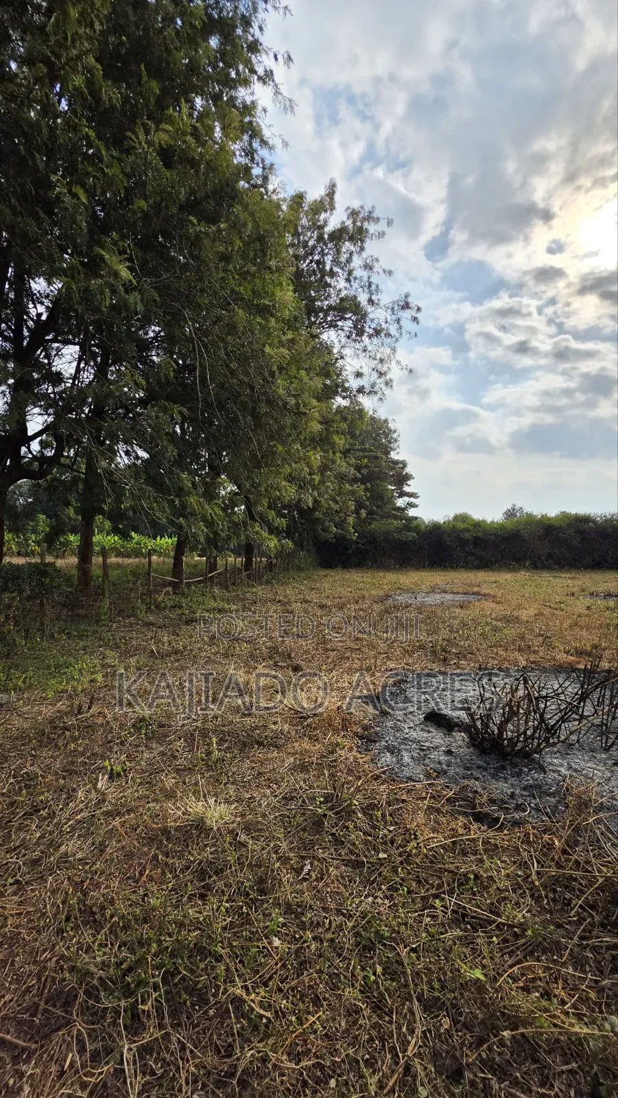 1 Acre Kibiku at 20m in Kibiku
