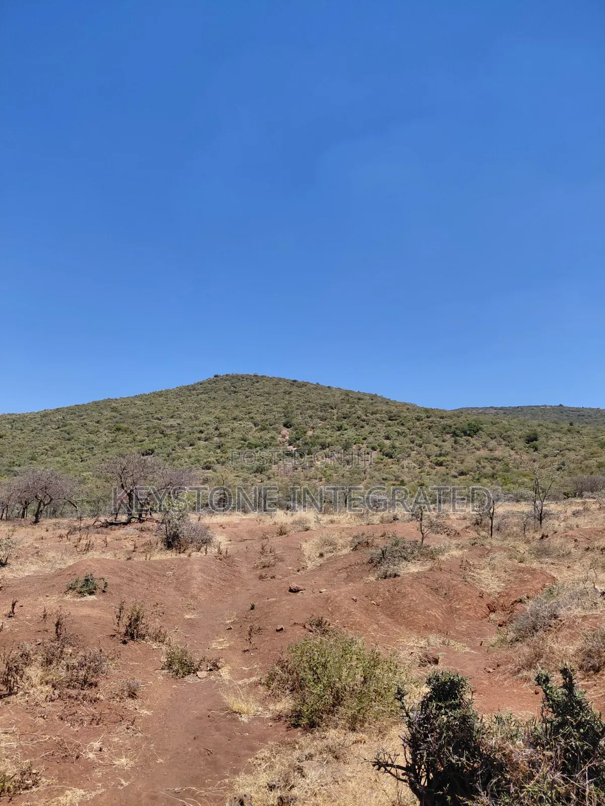 Land for Sale in Ntashart,Kajiado in Ewuaso Oonkidong'I