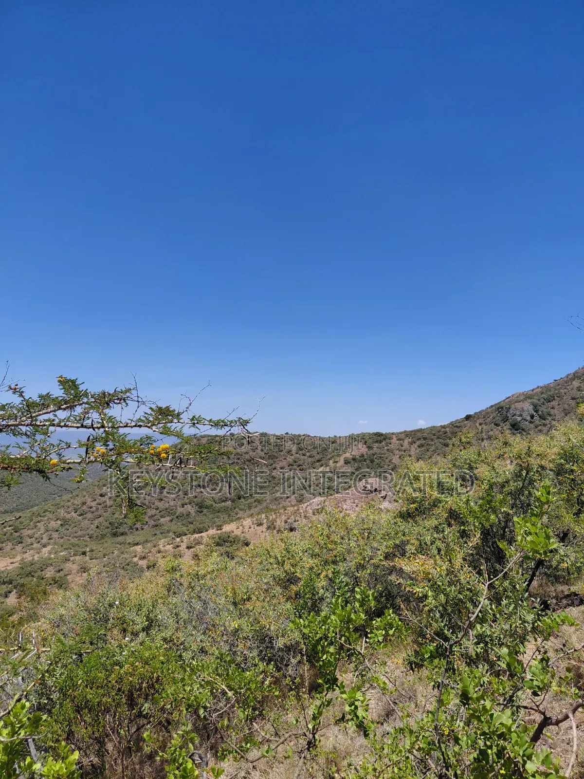 Land for Sale in Ntashart,Kajiado in Ewuaso Oonkidong'I