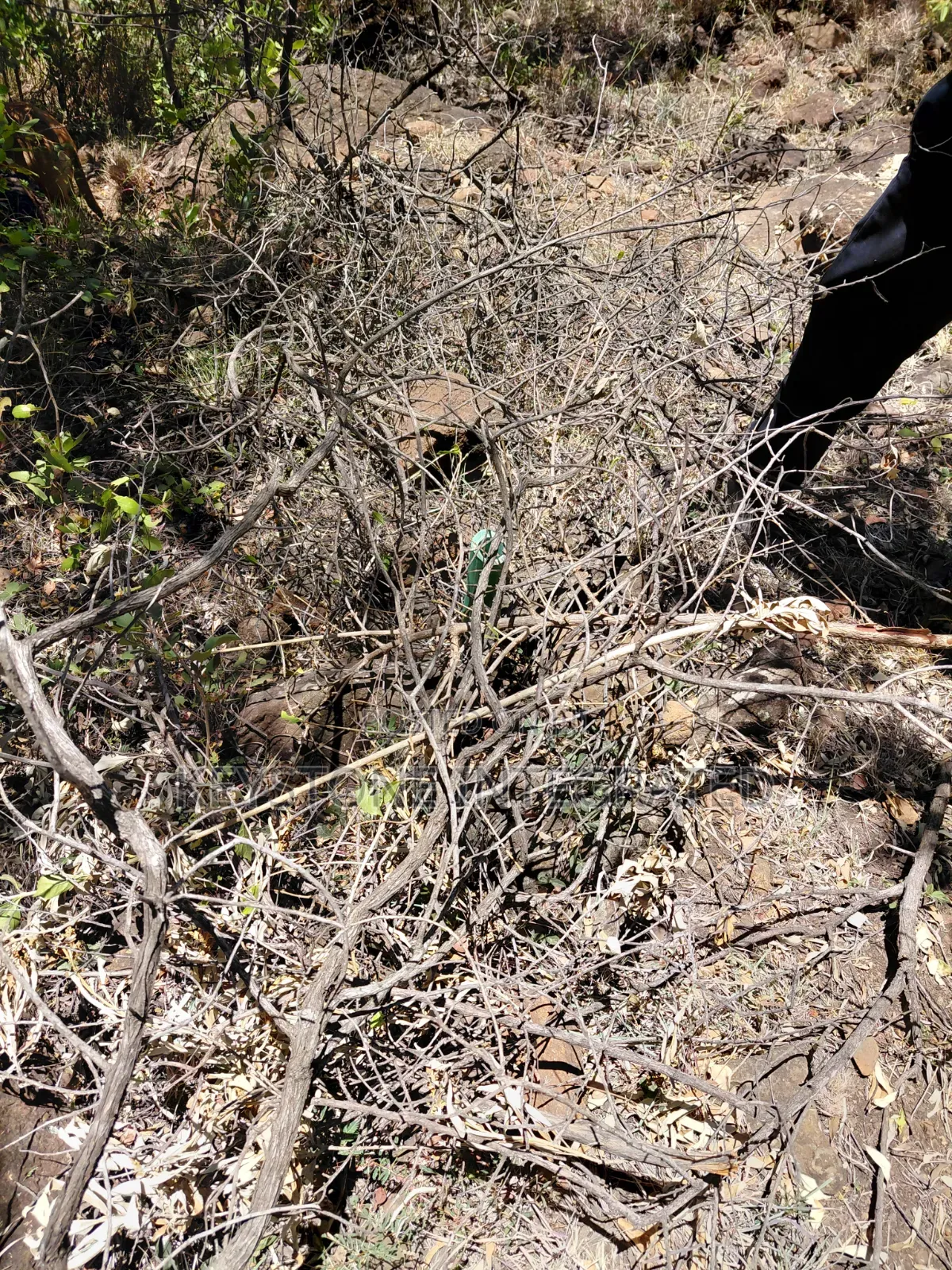 Land for Sale in Ntashart,Kajiado in Ewuaso Oonkidong'I