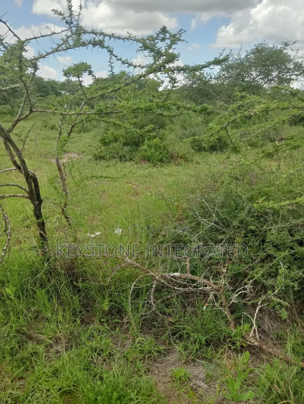5 Acres Land for Sale in Konza in Malili