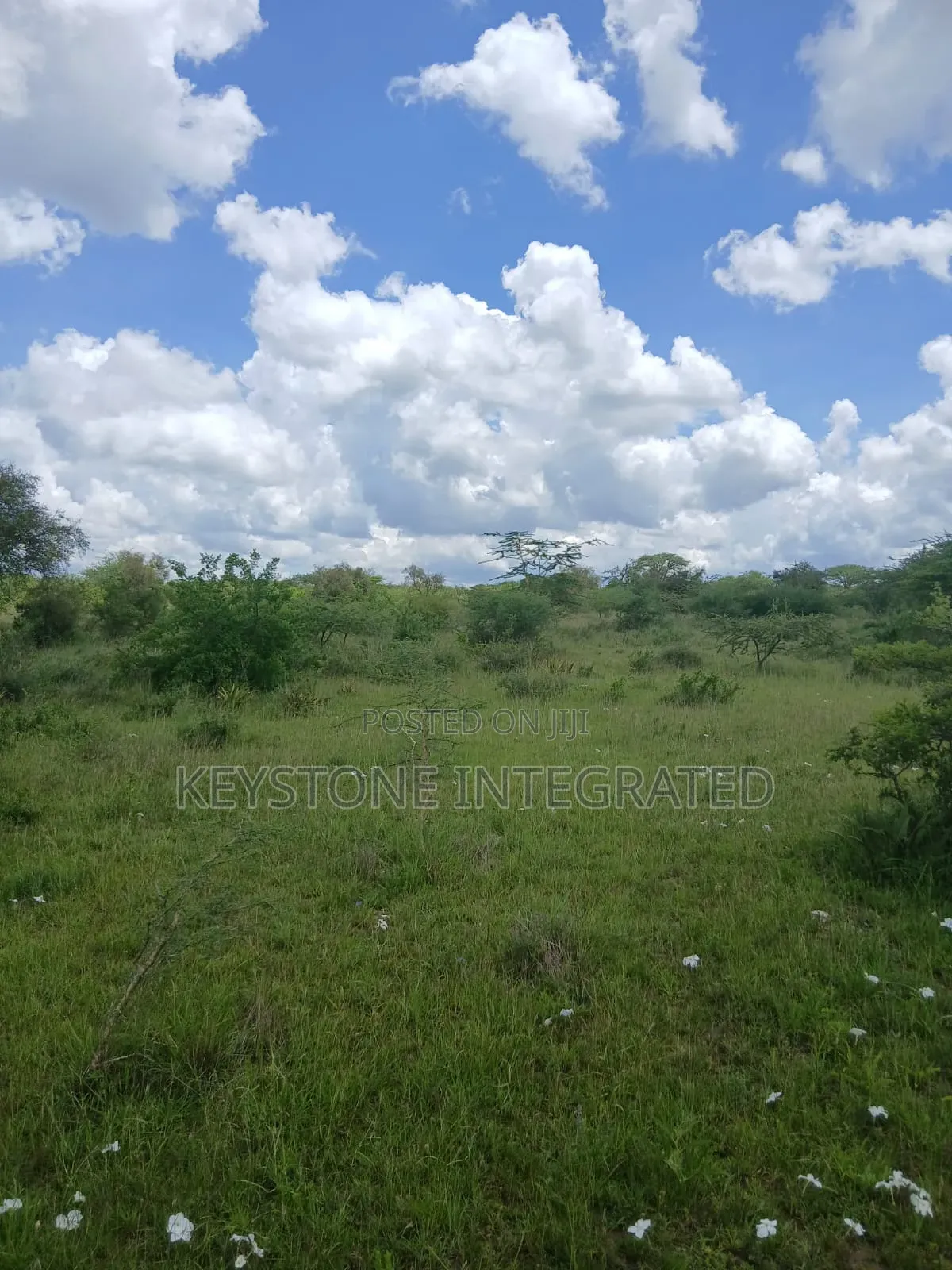 5 Acres Land for Sale in Konza in Malili