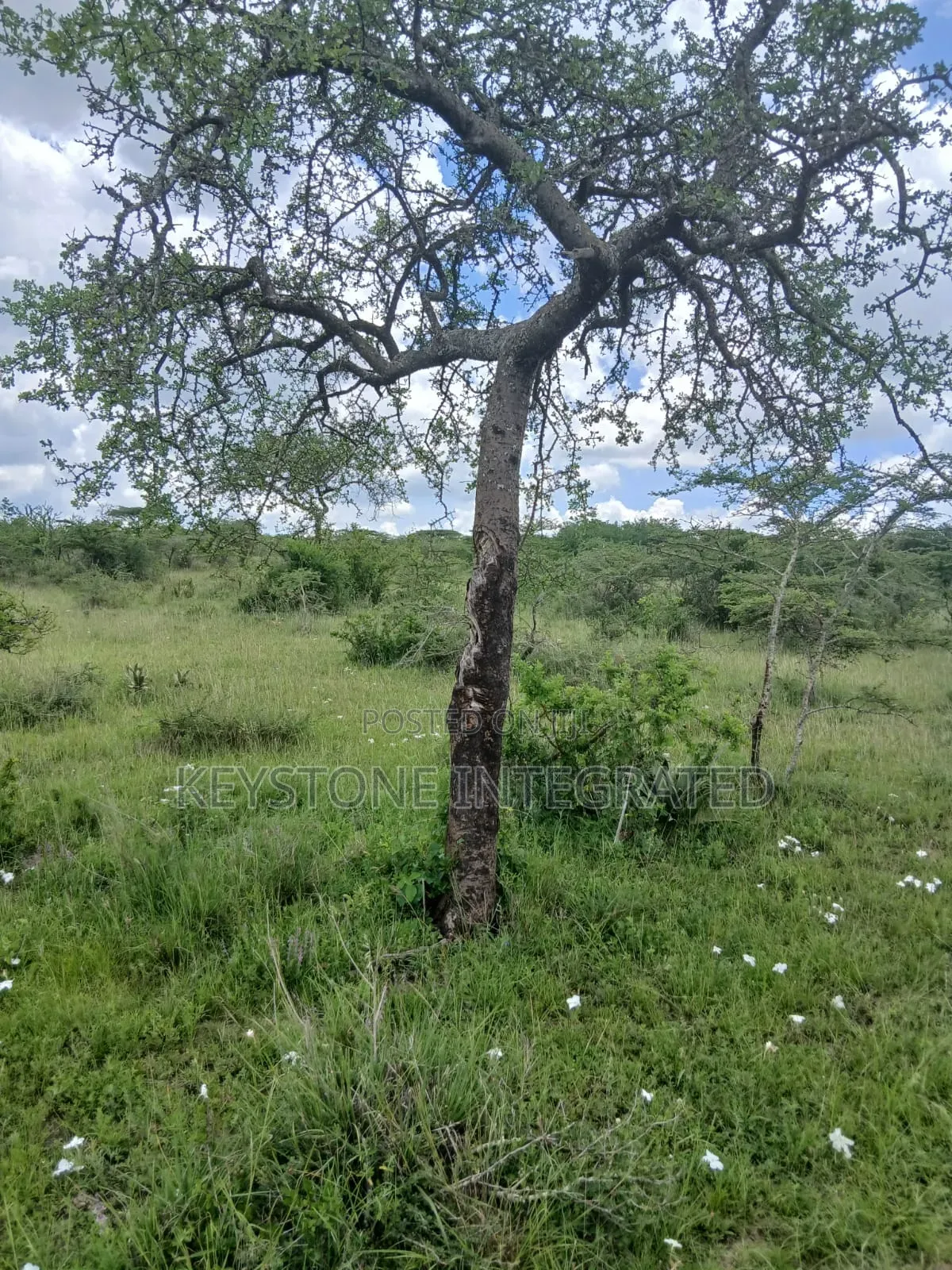 5 Acres Land for Sale in Konza in Malili
