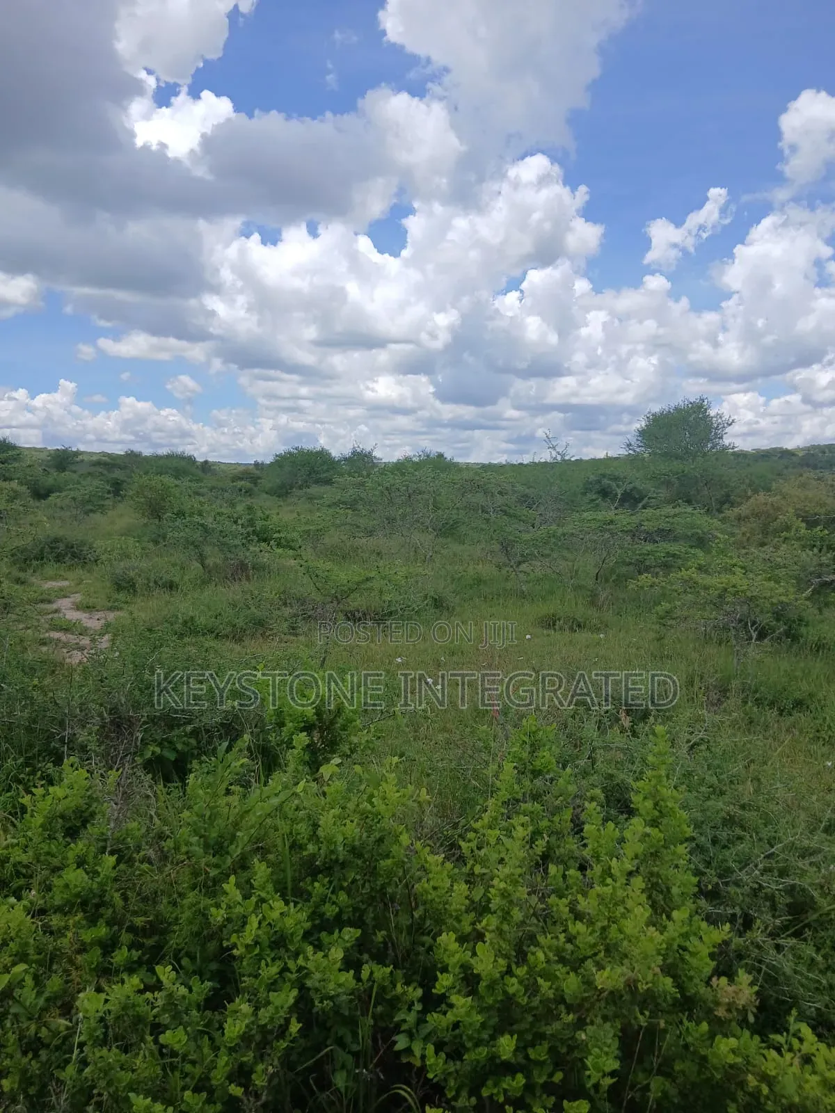5 Acres Land for Sale in Konza in Malili