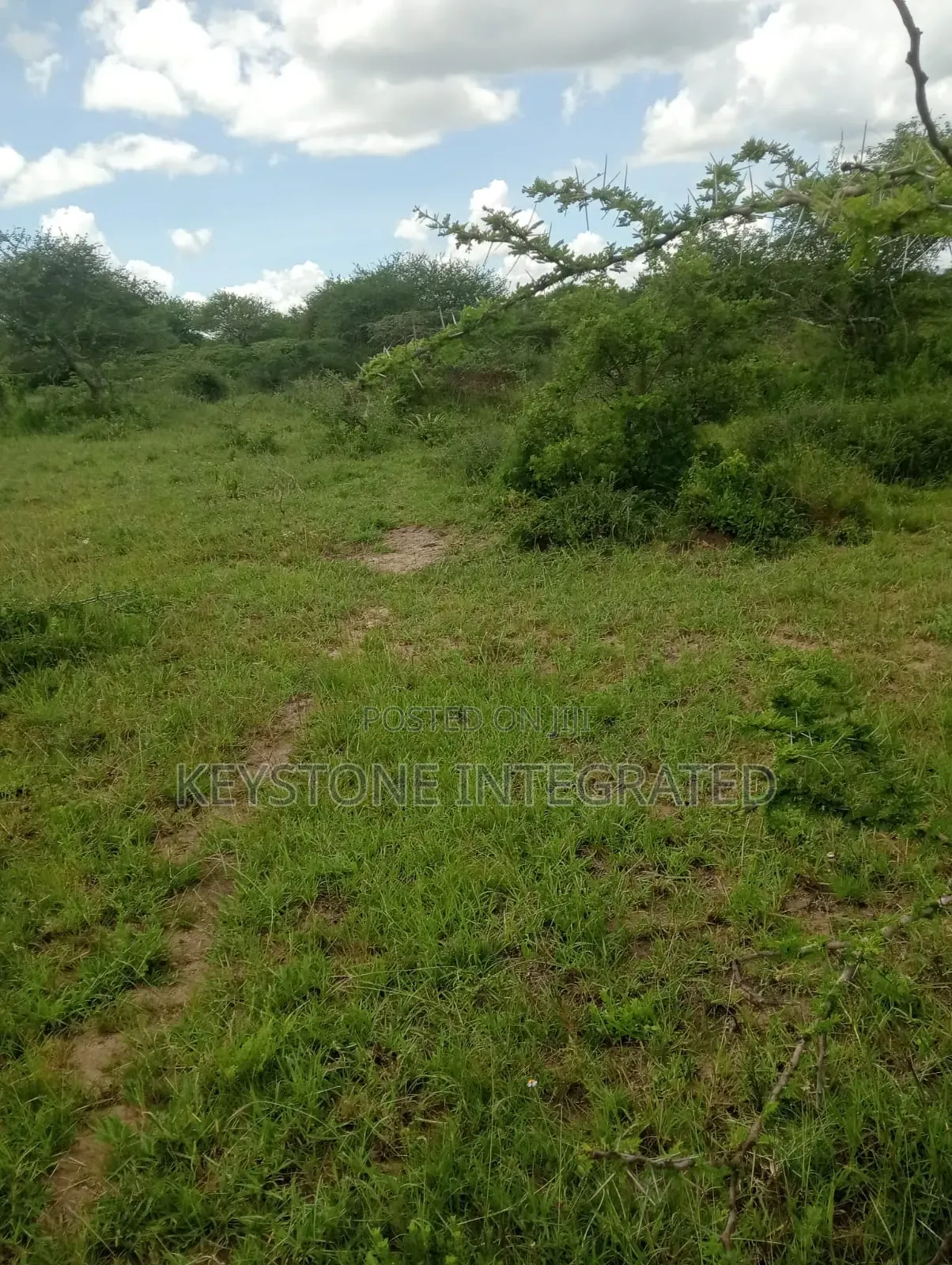 5 Acres Land for Sale in Konza in Malili