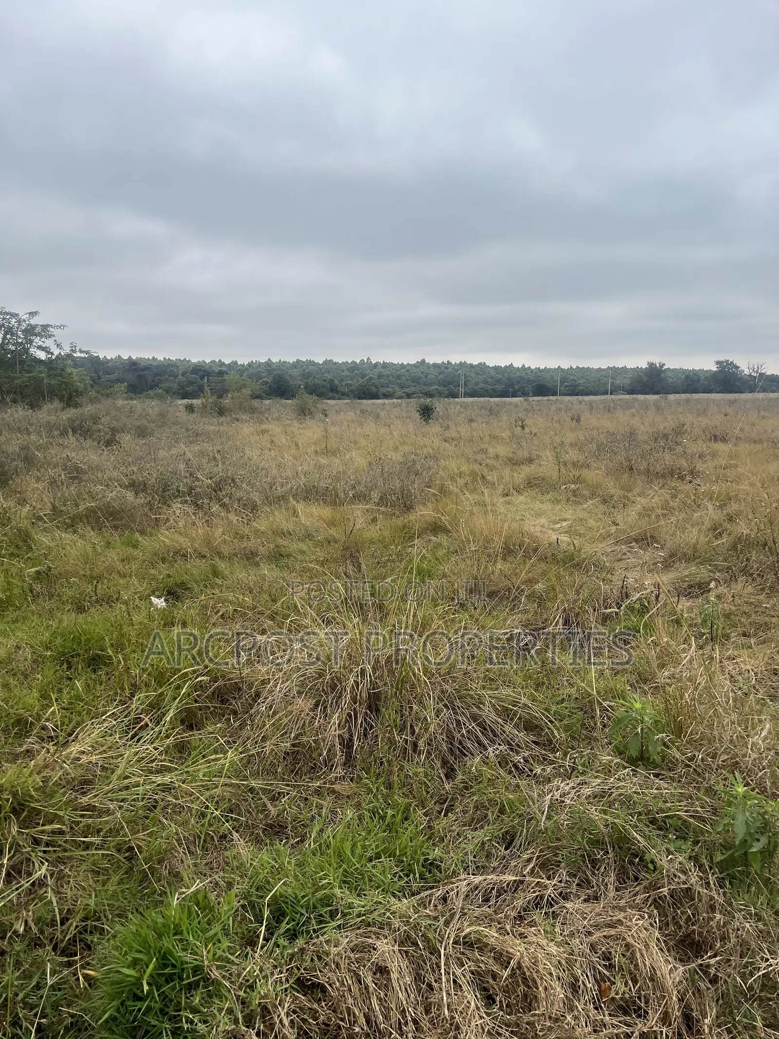 Prime 10 Acres for Sale in Karen Near Hillcrest – Gated Community in Karen C
