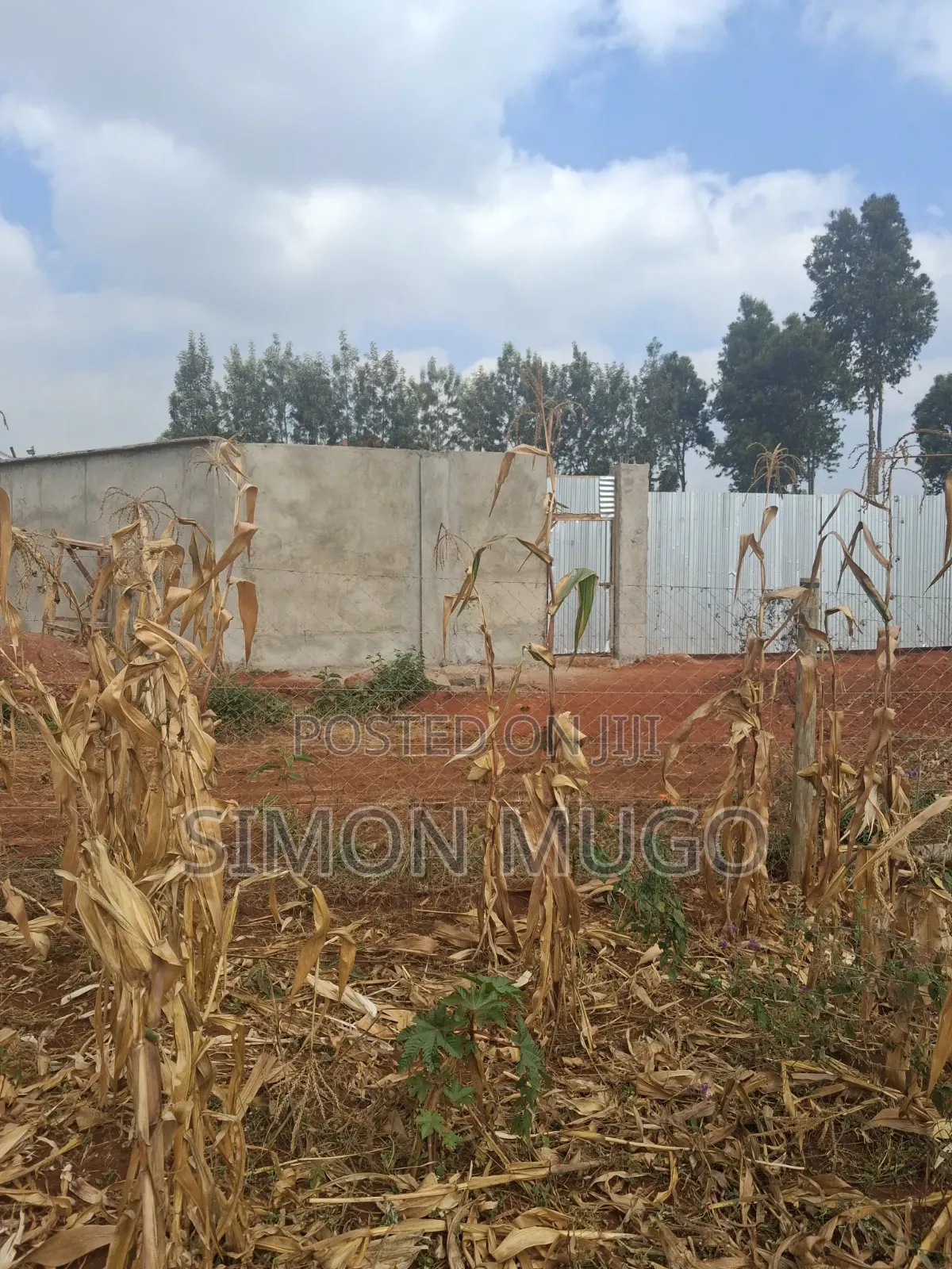 Valley View Kiambu Rd Prime Well Drained Red Soil 1/2 AC Corner Plot in Thindigua/Kasarini